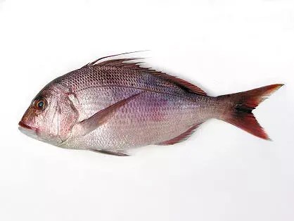 Chacarona de Canarias