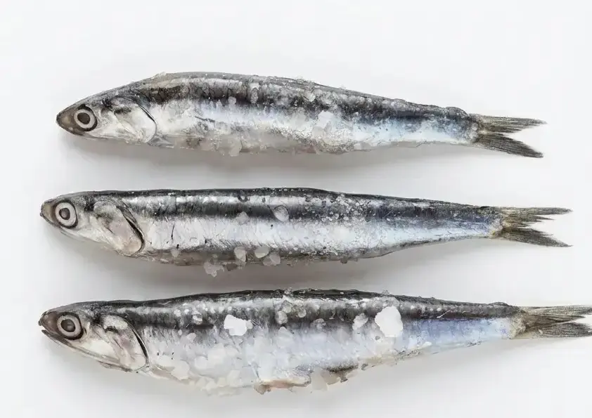 Sardinella